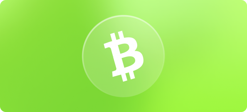 Accept Bitcoin Cash Payments - BCH
