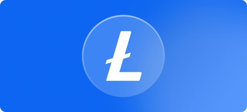 Accept Litecoin Payments - LTC