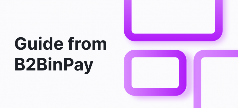 Crypto Payment Processing Guide from B2BinPay.