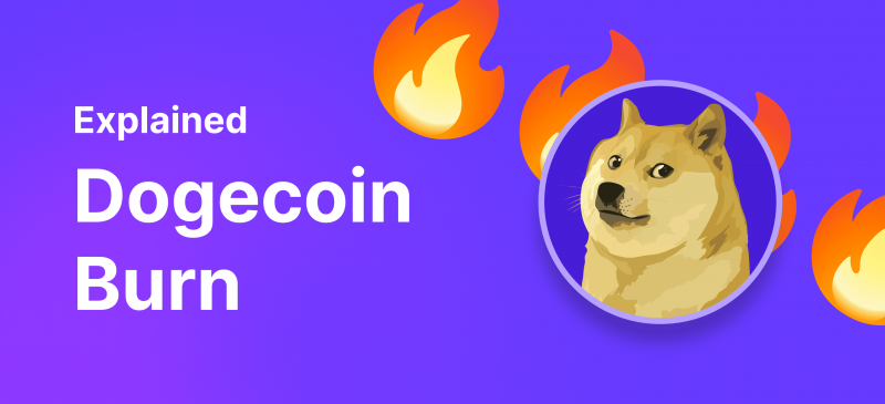 Is Dogecoin Burn a Good Idea