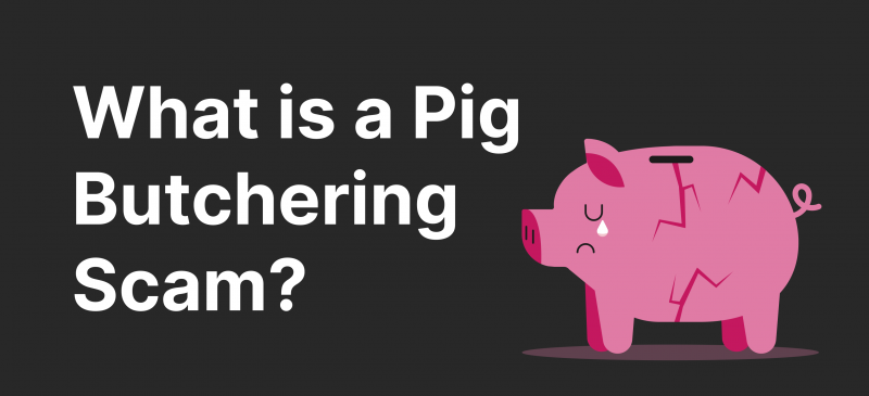 What is a Pig Butchering Scam in Crypto & How to Spot it?