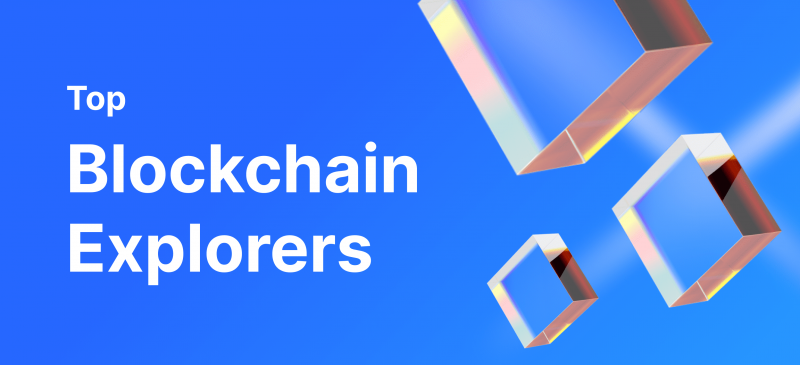 Top Blockchain Explorers And How To Use Them.