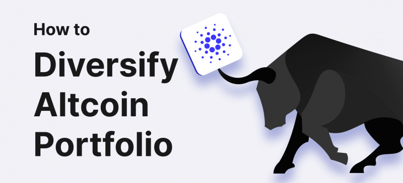 How to Diversify Altcoin Portfolio for a Crypto Bull Market?