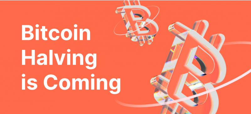 Preparing for the BItcoin Halving Dates
