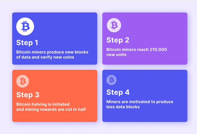 The Complete BTC Halving Cycle