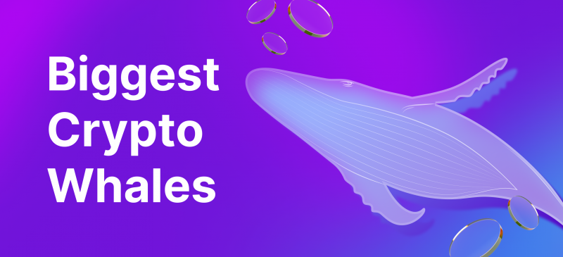 Explore 10 Biggest Crypto Whales: Who Owns the Most BTC? 
