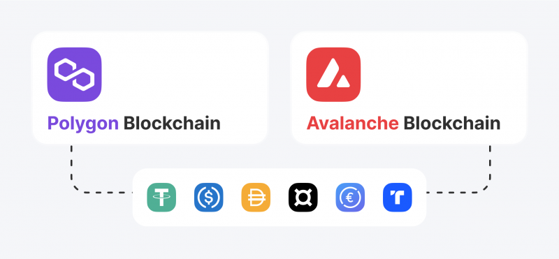 Expanded Blockchain Support with Polygon and Avalanche