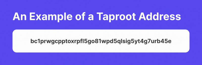 An Example of a Taproot Address