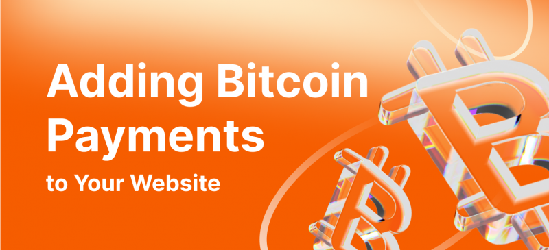 Why and How Can You Add Bitcoin Payment to Website?
