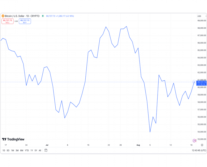 Overview of the Crypto Market in July-August 2024