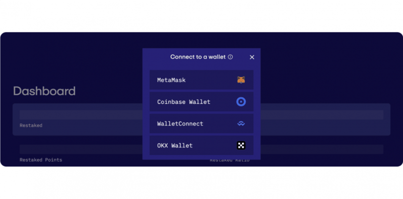 Connect the wallet