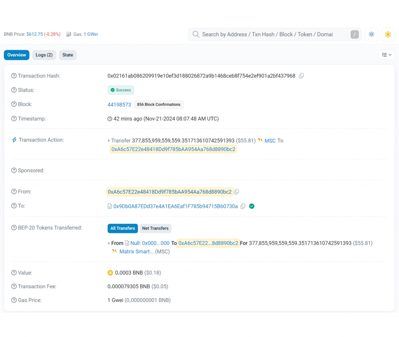 transaction details on BscScan