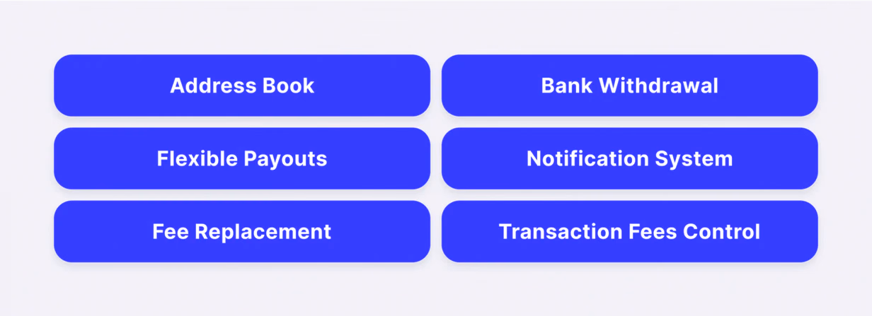 Main Features of B2BinPay's Enterprise Model