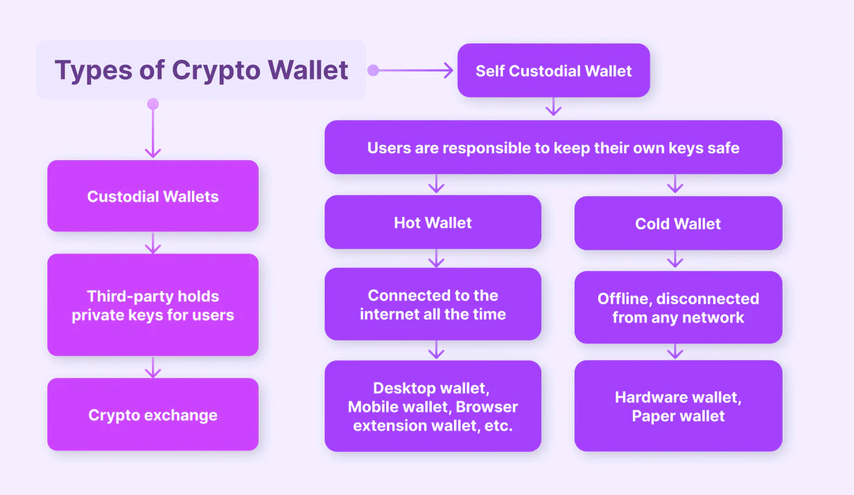 What are Centralized and Decentralized Wallets?