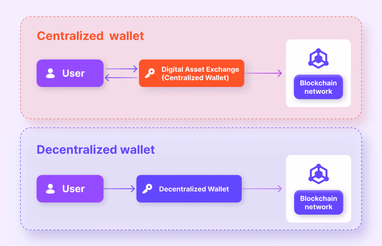 What are Centralized and Decentralized Wallets?
