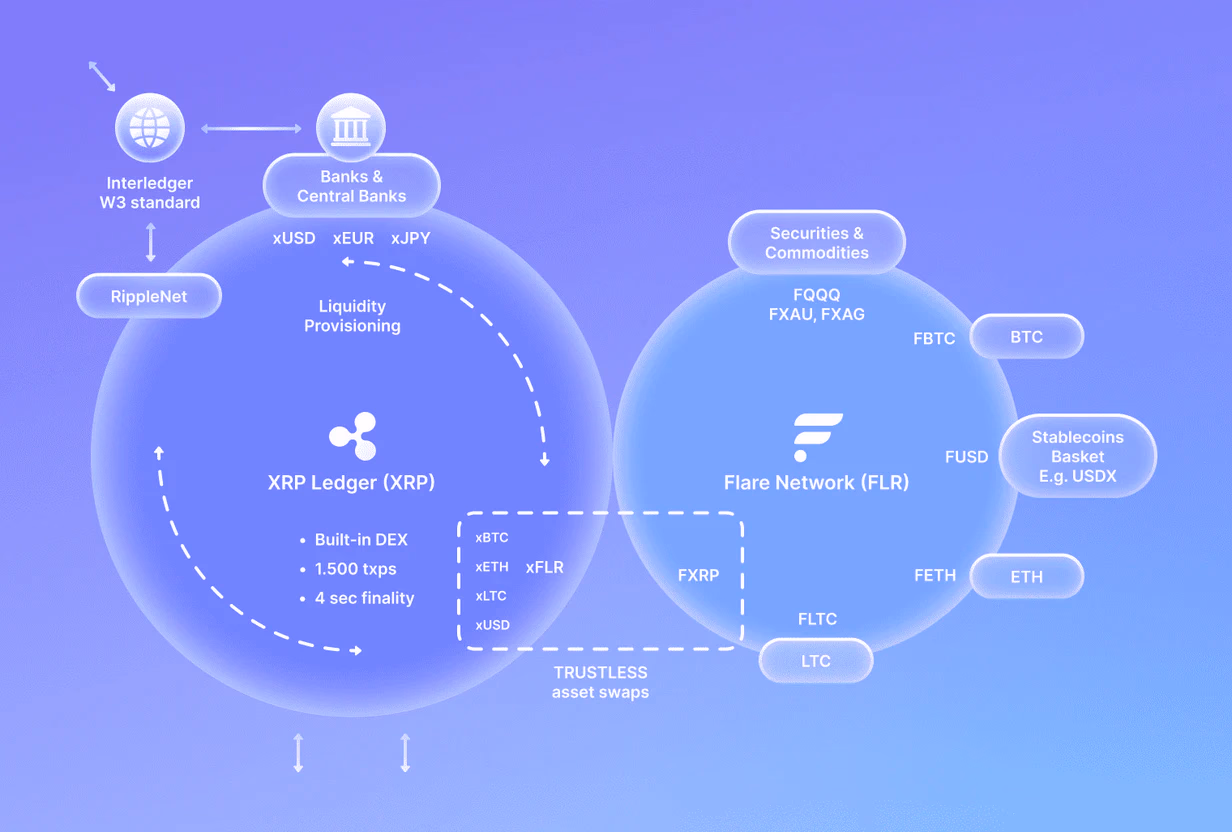 XLM vs XRP: Which is Better?