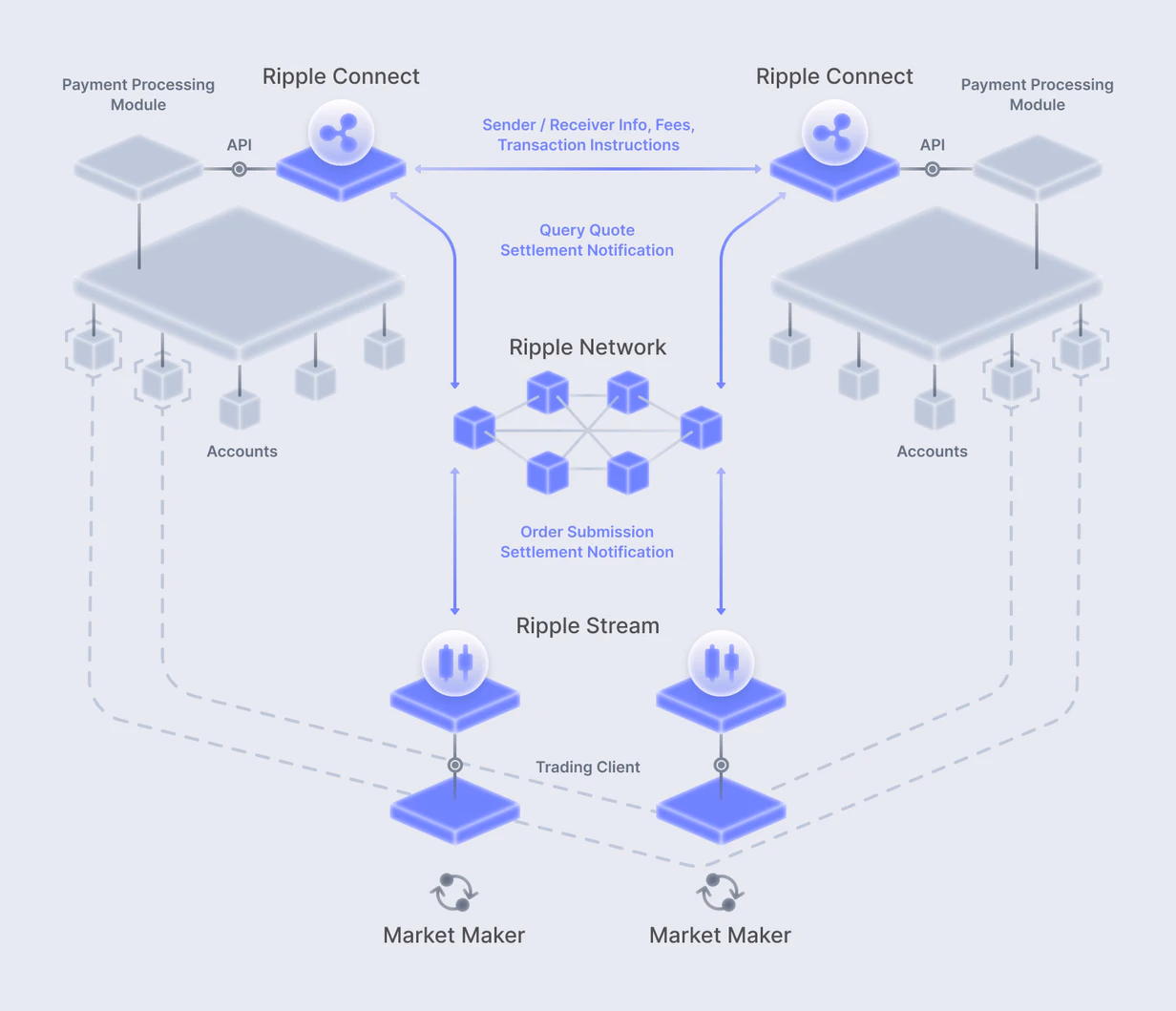 XLM vs XRP: Which is Better?