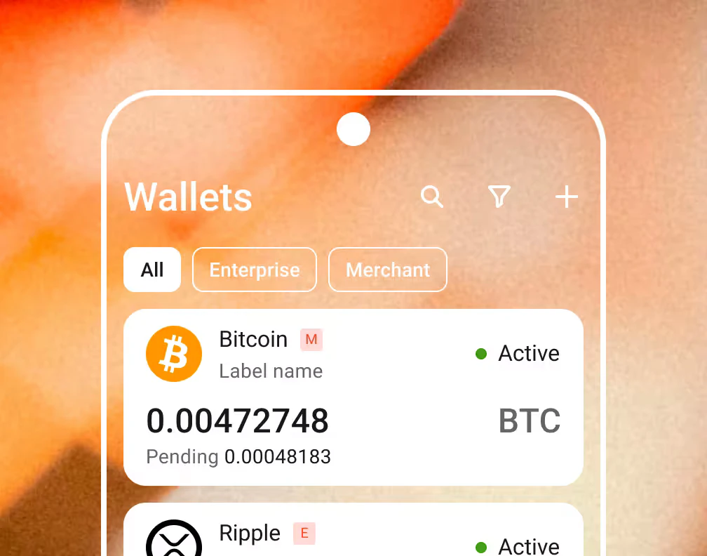 B2BINPAY mobile application