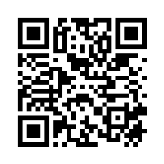 Download the B2BINPAY mobile application